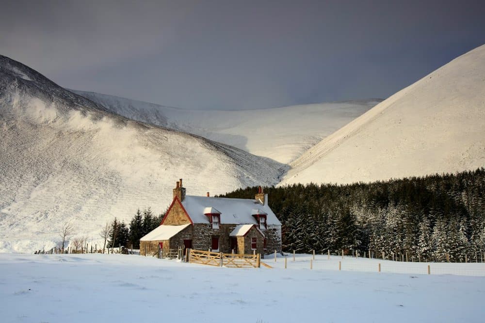 Snowed In