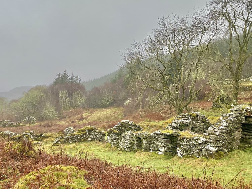 From the Heather Hills