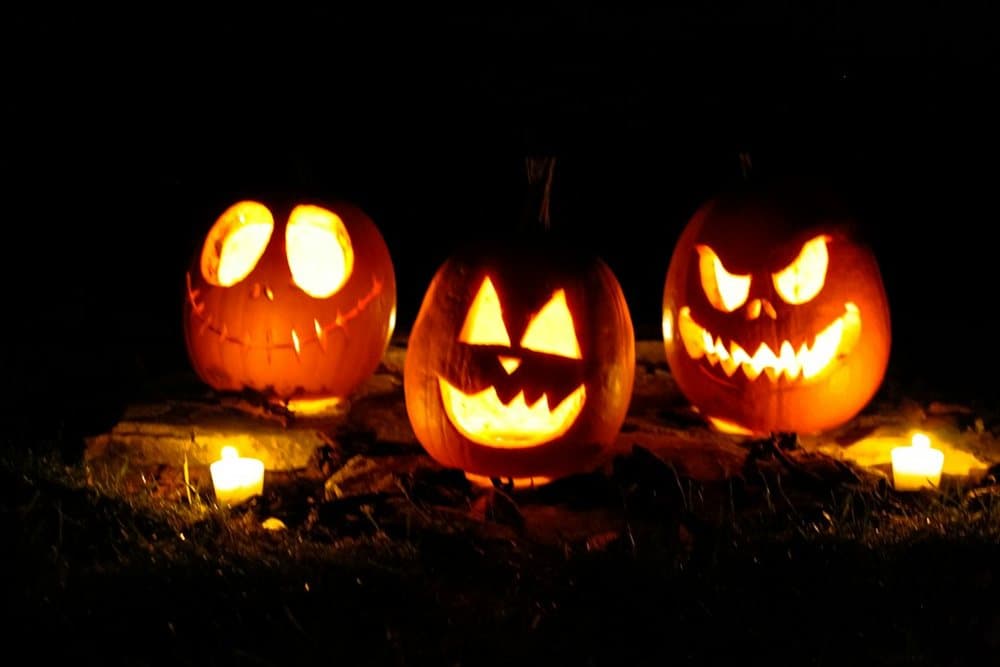 Lanterns in the Dark