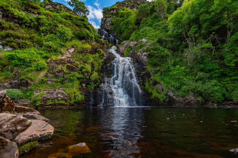 Scottish Healing Wishes