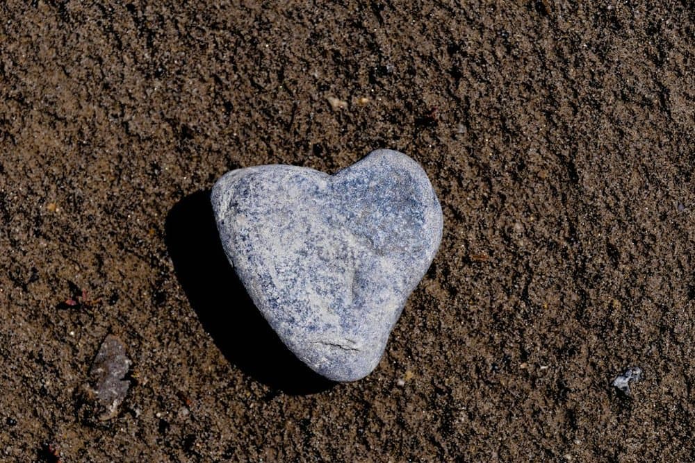 Found a Heart